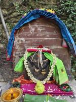 Shri Devi Vanadurga Pujana (30 Nov 2025)